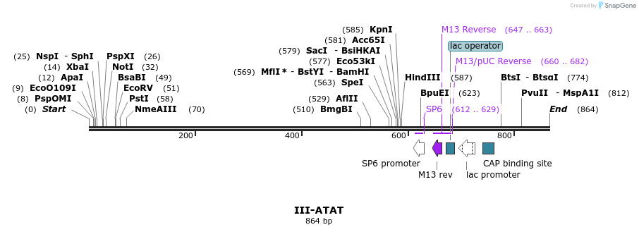 61472_map