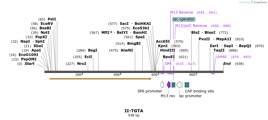 61473_map