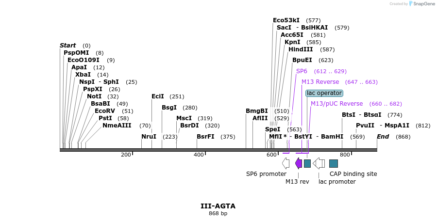 61483_map