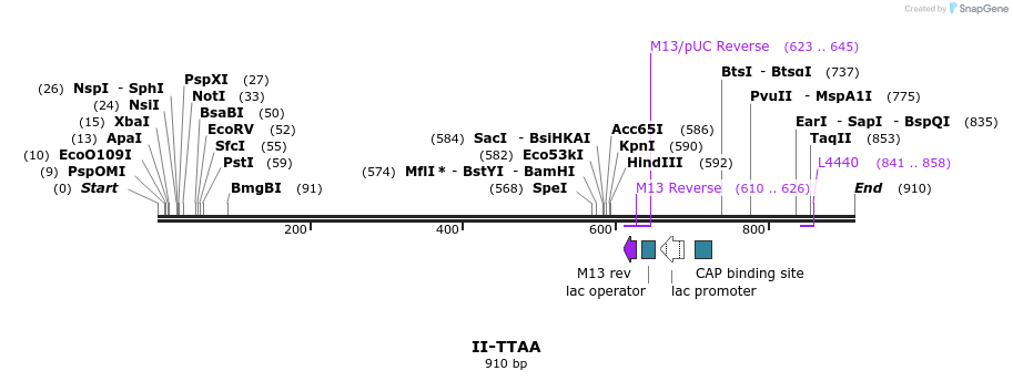 61484_map