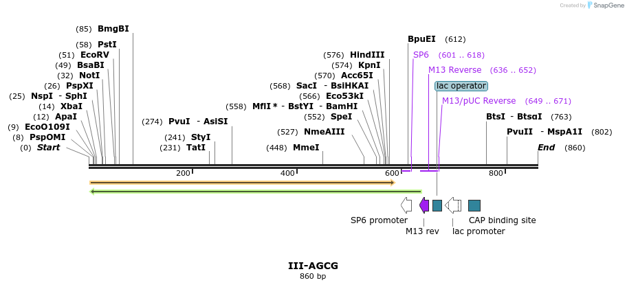 61494_map