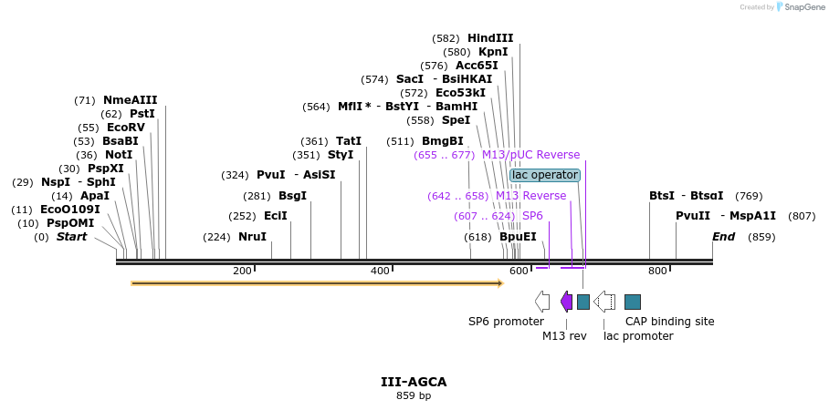61497_map