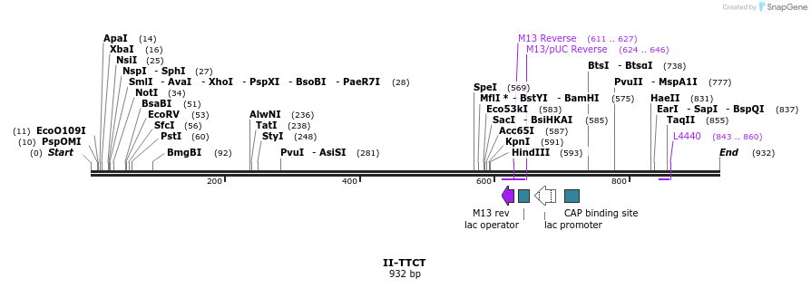 61501_map
