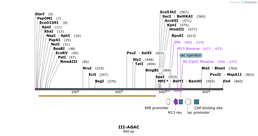 61502_map