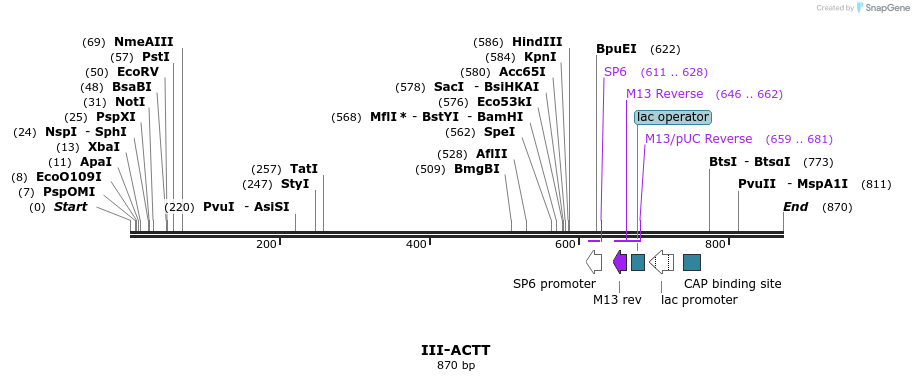61505_map