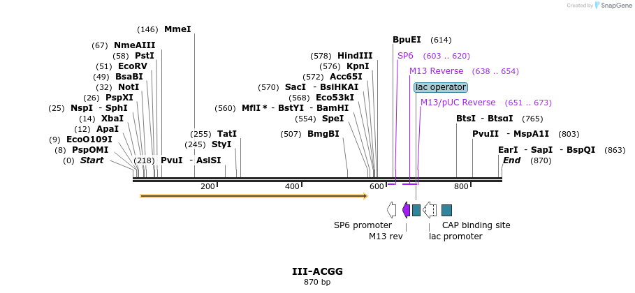 61513_map