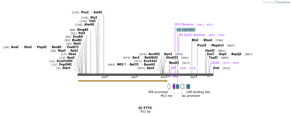 61517_map