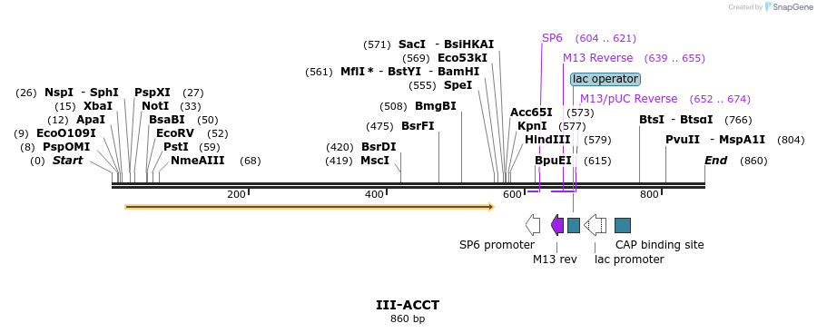 61518_map
