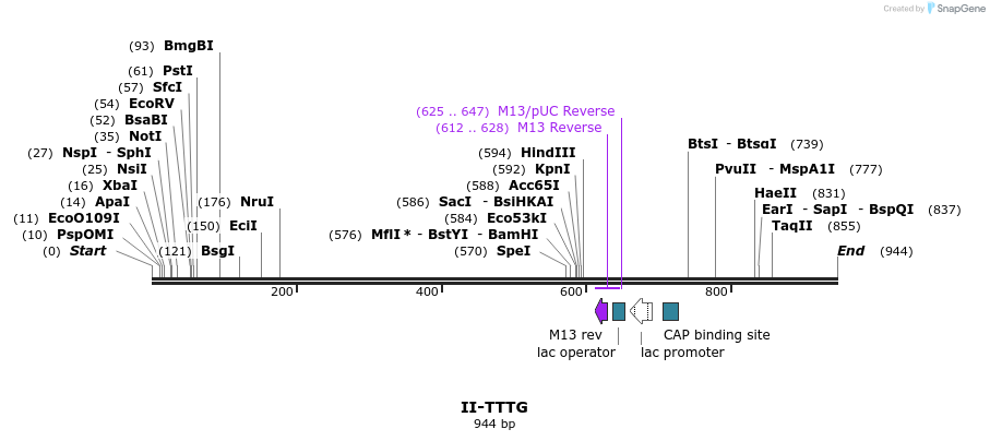 61519_map
