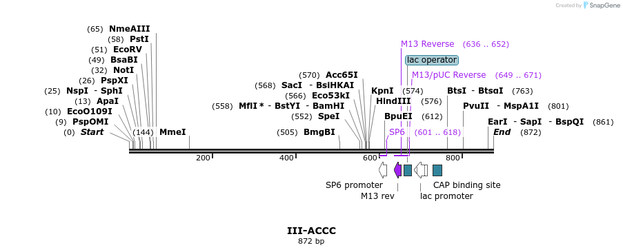 61521_map