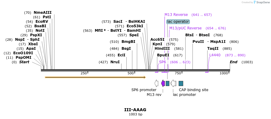 61530_map