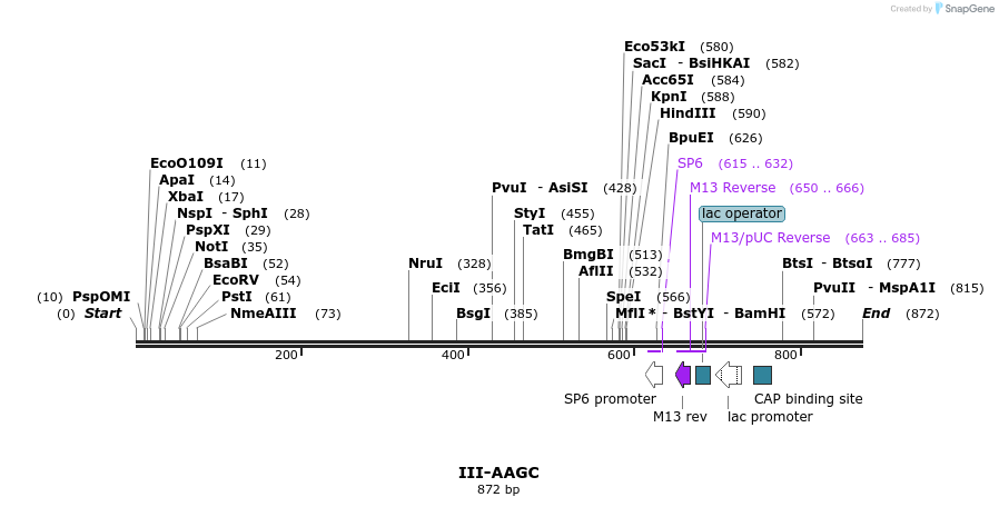 61541_map