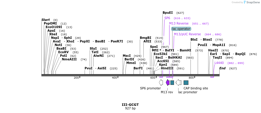 61550_map