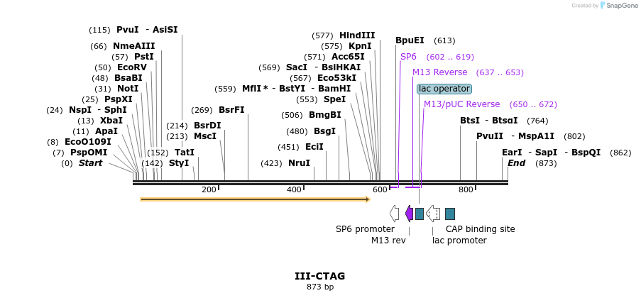 61554_map