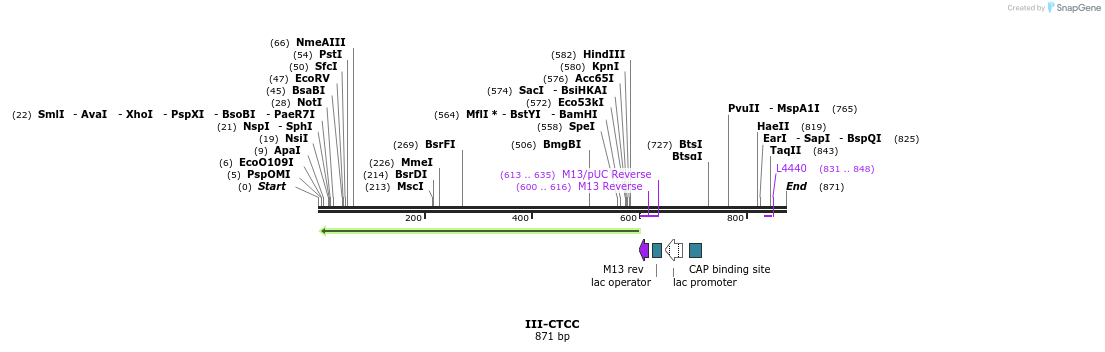61560_map