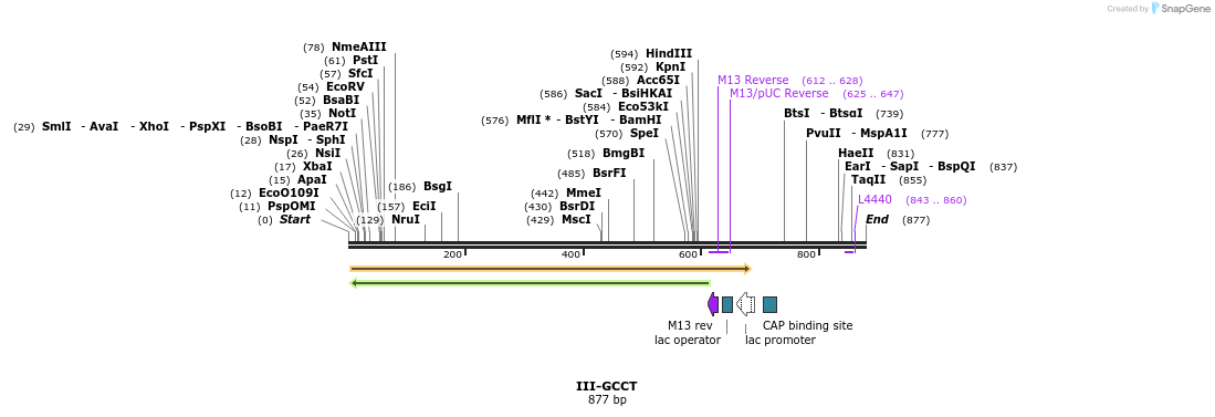 61561_map
