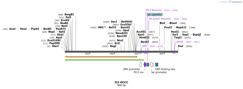 61566_map