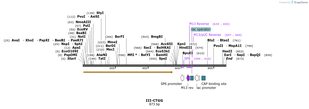 61568_map