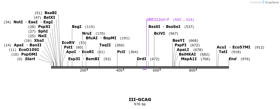 61584_map