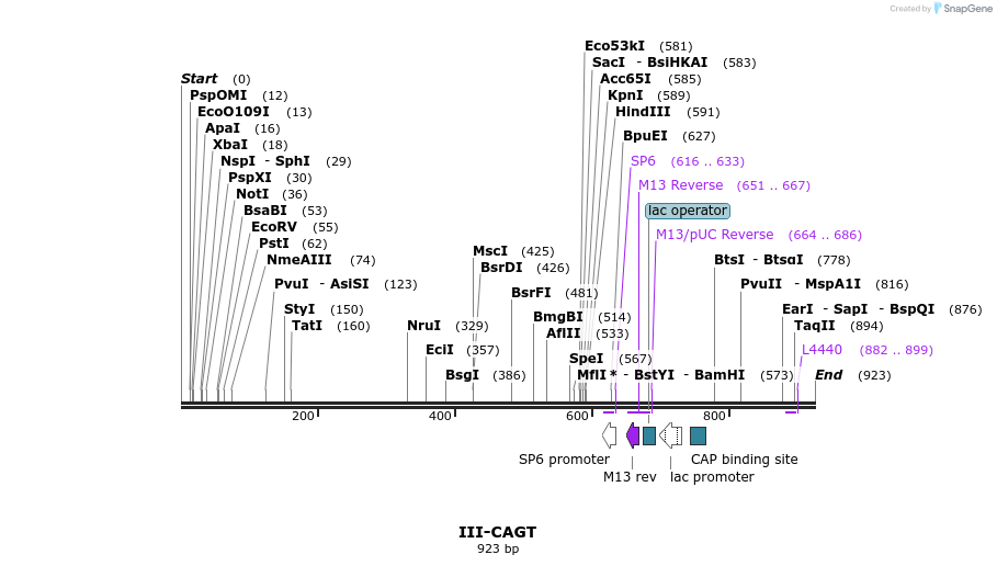 61585_map