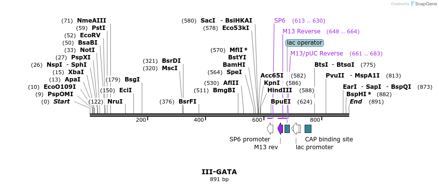 61605_map