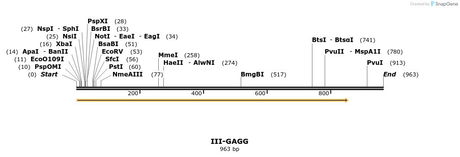 61612_map