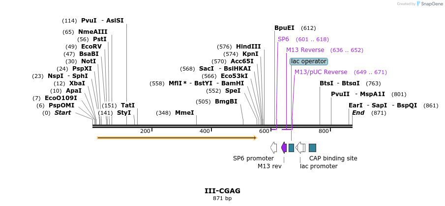 61613_map