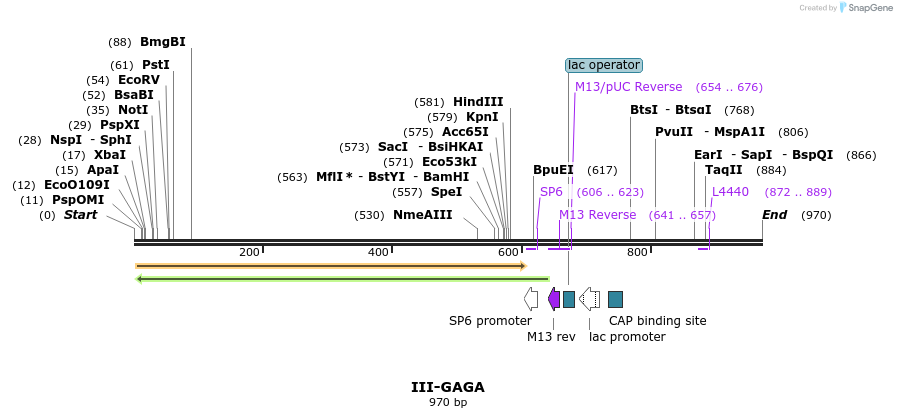 61617_map
