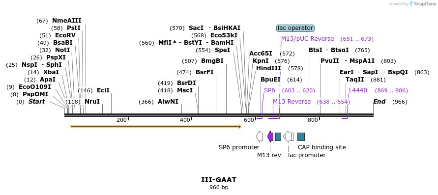 61634_map
