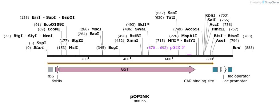 61637_map