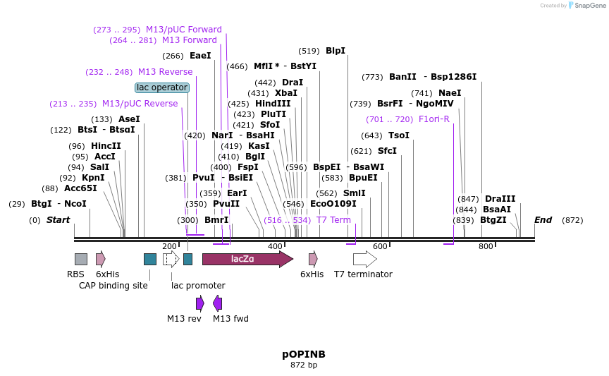 61640_map