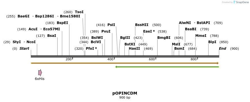 61644_map