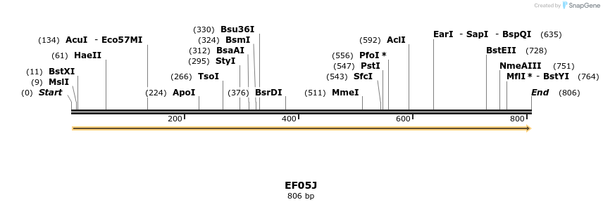 61647_map