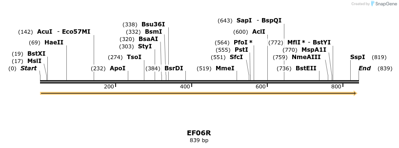 61648_map