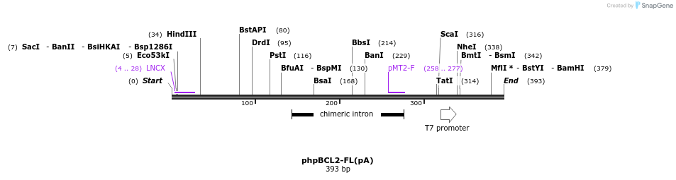 61652_map