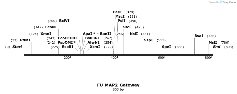 61653_map