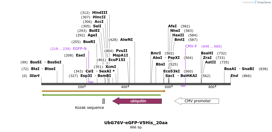 61701_map