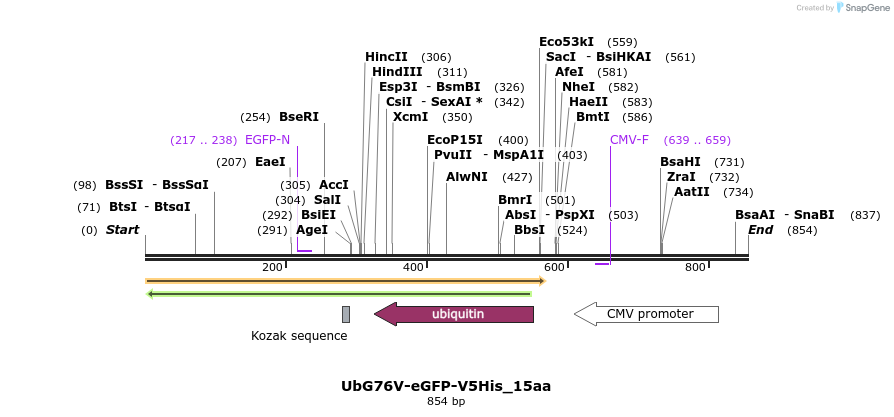 61702_map