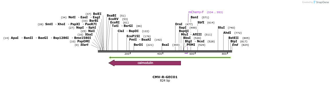 61709_map