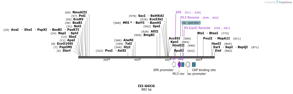 61713_map