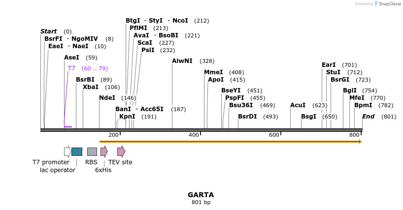 61714_map