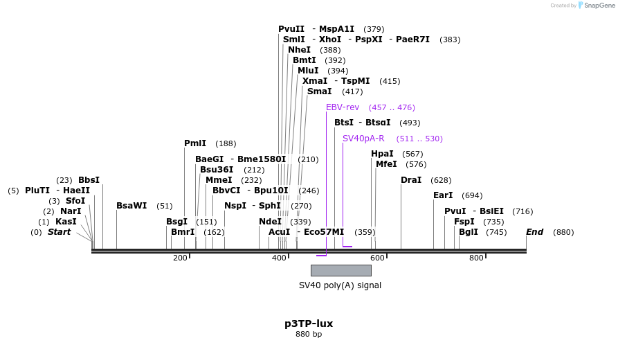 61750_map
