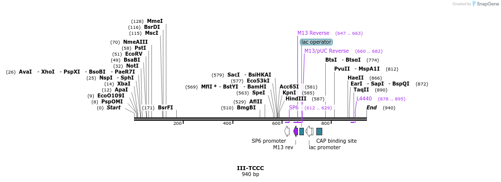 61762_map