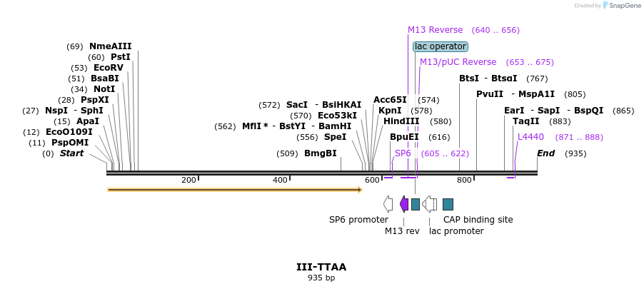 61765_map