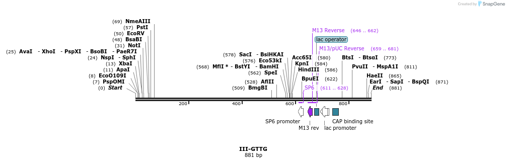 61766_map