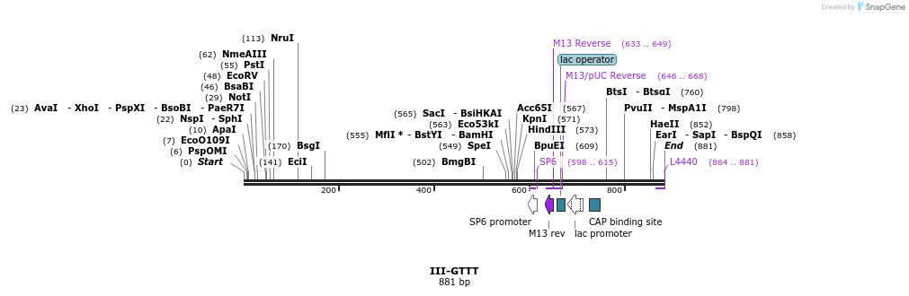 61768_map