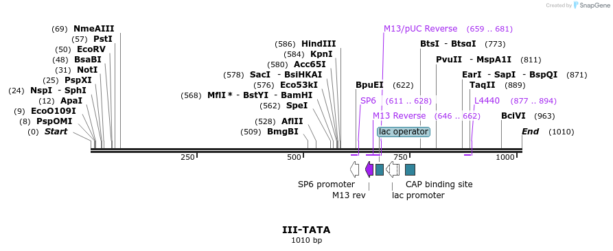 61771_map