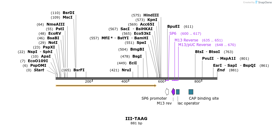 61778_map