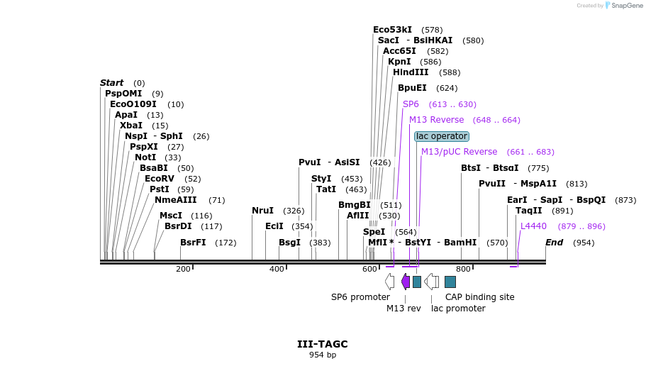 61786_map