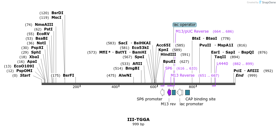 61789_map